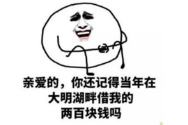 周至为什么选择专业追讨公司来处理您的债务纠纷？